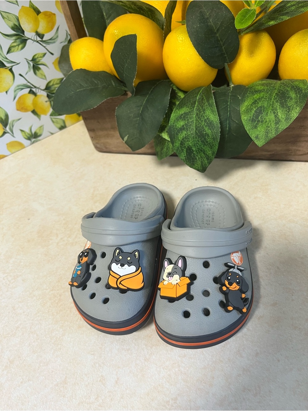 CROCS Kids Gray Clog Sandals with Orange Accent and Dog Charms Size  C5